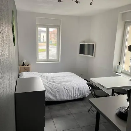 Studio2 Proche Fac Climatise Albi Exterior photo