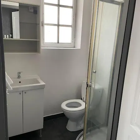 Studio2 Proche Fac Climatise Albi Exterior photo